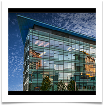 VIBRANT REFLECTIONS - Des Hawley